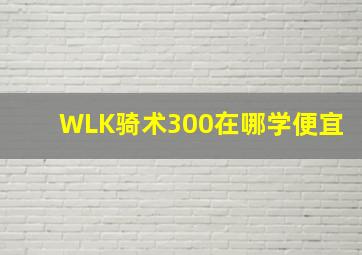 WLK骑术300在哪学便宜