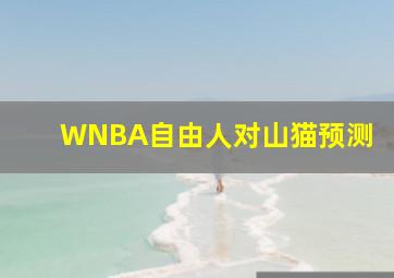 WNBA自由人对山猫预测