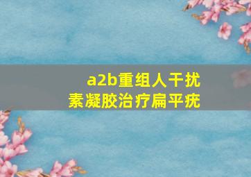 a2b重组人干扰素凝胶治疗扁平疣