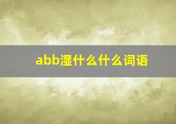 abb湿什么什么词语