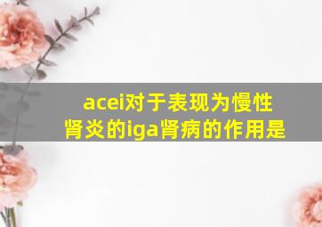 acei对于表现为慢性肾炎的iga肾病的作用是