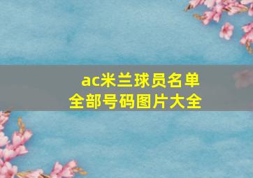 ac米兰球员名单全部号码图片大全