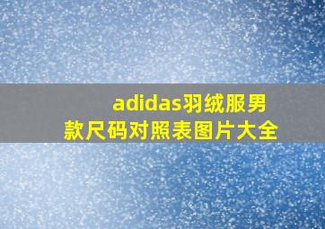 adidas羽绒服男款尺码对照表图片大全