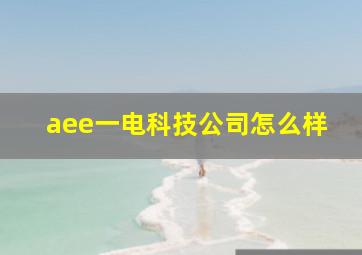 aee一电科技公司怎么样