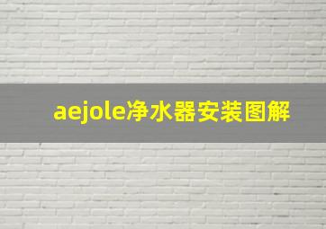 aejole净水器安装图解