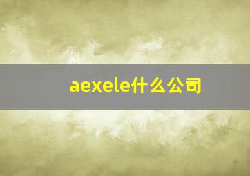 aexele什么公司