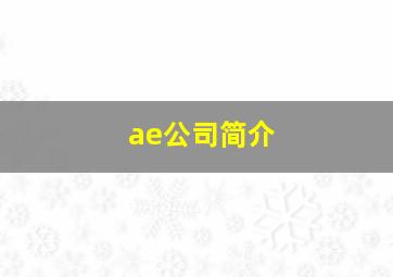 ae公司简介