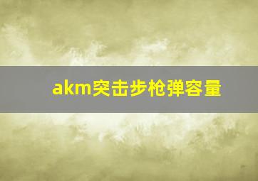 akm突击步枪弹容量