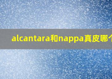 alcantara和nappa真皮哪个好