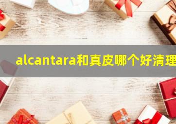 alcantara和真皮哪个好清理