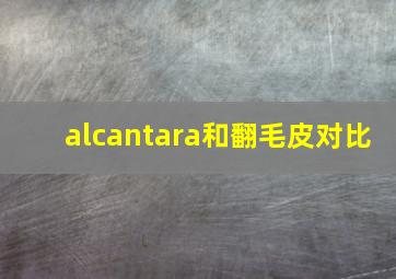 alcantara和翻毛皮对比