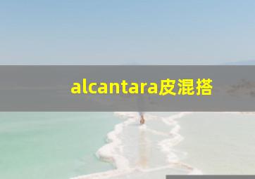 alcantara皮混搭