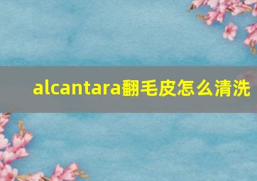 alcantara翻毛皮怎么清洗