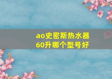 ao史密斯热水器60升哪个型号好