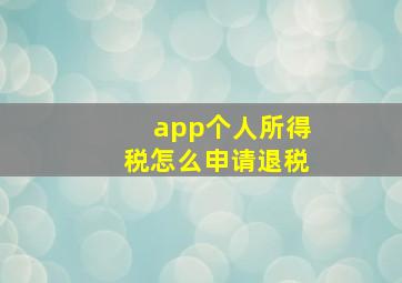 app个人所得税怎么申请退税