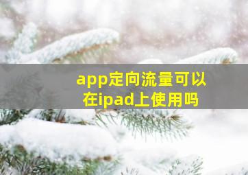 app定向流量可以在ipad上使用吗