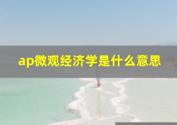 ap微观经济学是什么意思