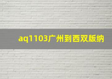 aq1103广州到西双版纳