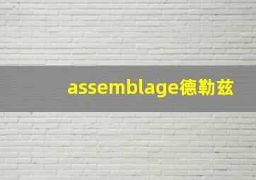 assemblage德勒兹