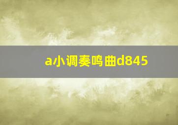 a小调奏鸣曲d845