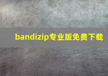 bandizip专业版免费下载