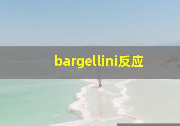 bargellini反应