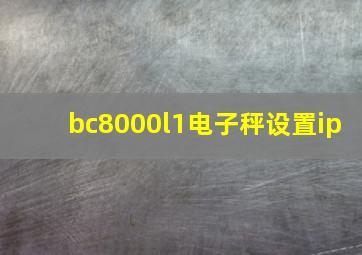 bc8000l1电子秤设置ip