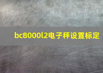 bc8000l2电子秤设置标定