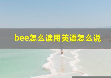 bee怎么读用英语怎么说