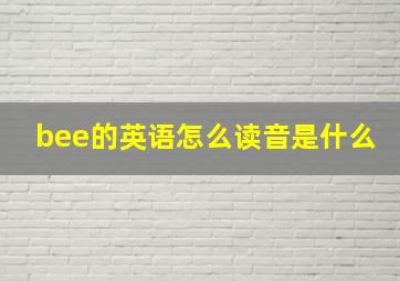 bee的英语怎么读音是什么