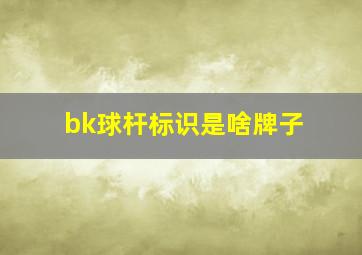 bk球杆标识是啥牌子