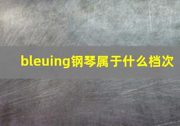 bleuing钢琴属于什么档次