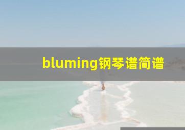 bluming钢琴谱简谱