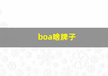 boa啥牌子