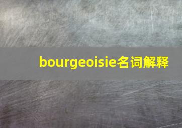 bourgeoisie名词解释