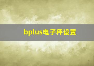 bplus电子秤设置