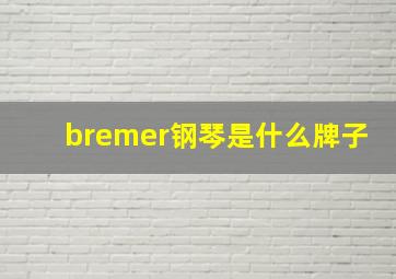 bremer钢琴是什么牌子