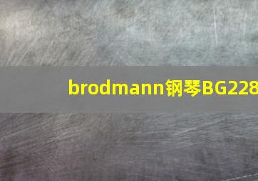 brodmann钢琴BG228