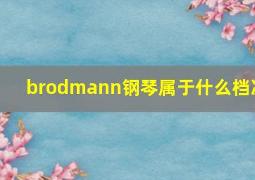 brodmann钢琴属于什么档次