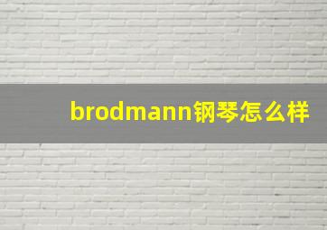 brodmann钢琴怎么样