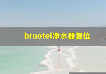 bruotel净水器复位