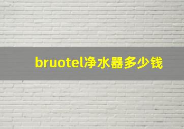 bruotel净水器多少钱