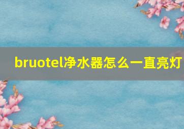 bruotel净水器怎么一直亮灯