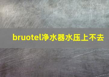 bruotel净水器水压上不去