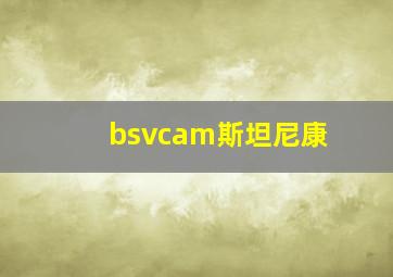 bsvcam斯坦尼康