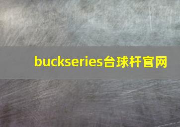 buckseries台球杆官网