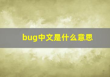 bug中文是什么意思