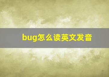 bug怎么读英文发音