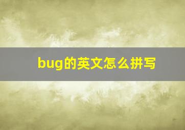 bug的英文怎么拼写