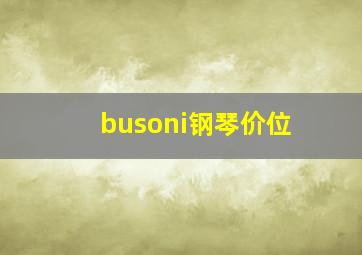 busoni钢琴价位